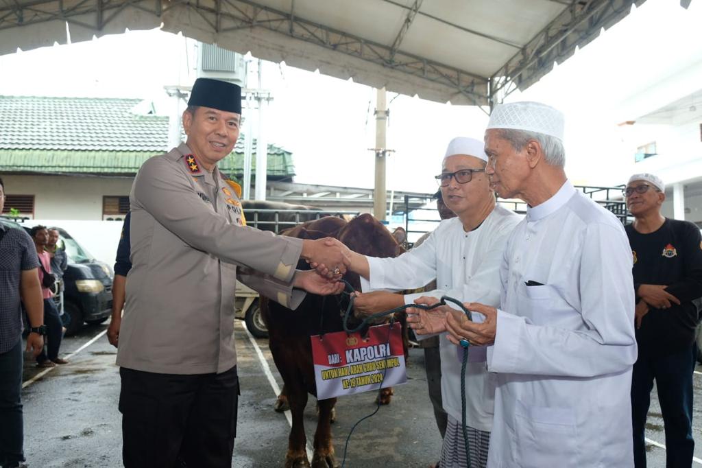 Kapolda Kalsel Serahkan 6 Ekor Sapi dari Kapolri untuk Dukung Pelaksanaan Haul Guru Sekumpul
