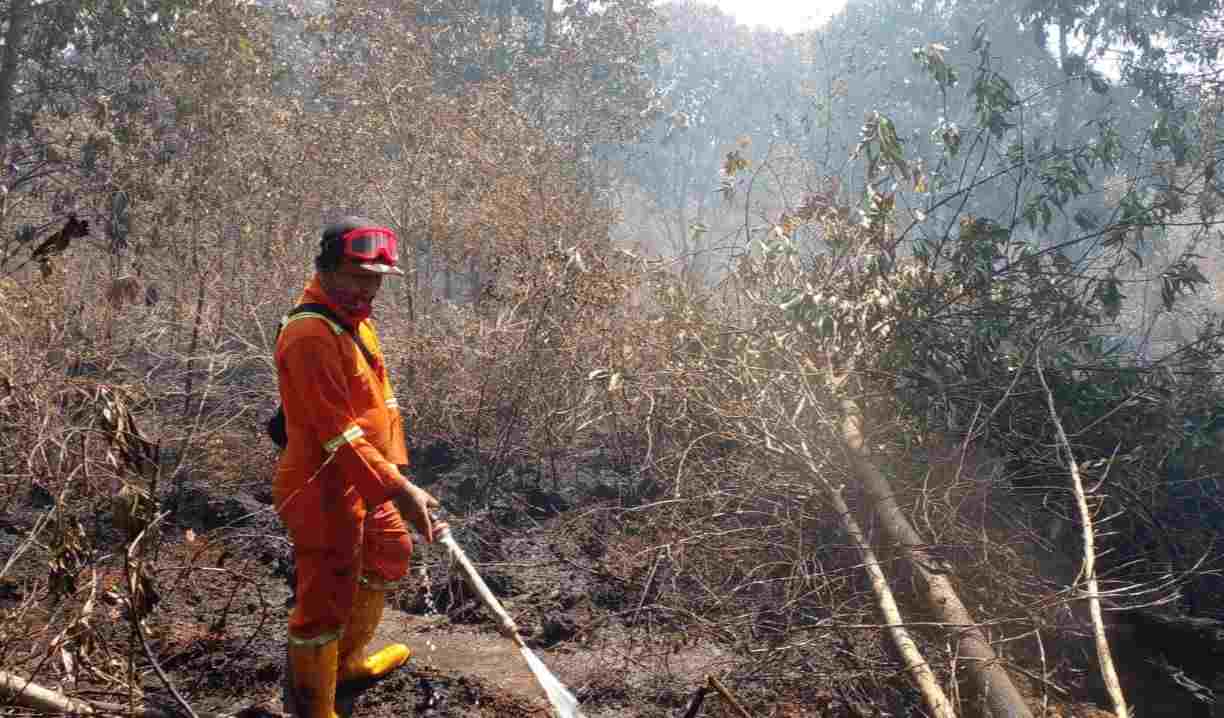 Cuaca Panas, MPA Laura Lakukan Pembasahan Lahan di Kawasan Bandara dan Hutan Lindung