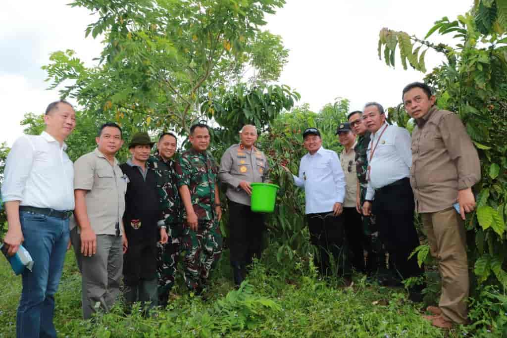 Ada Jagung dan Kopi, Lahan Pertanian Milik Rektor ULM Ditinjau Gubernur dan Kapolda Kalsel